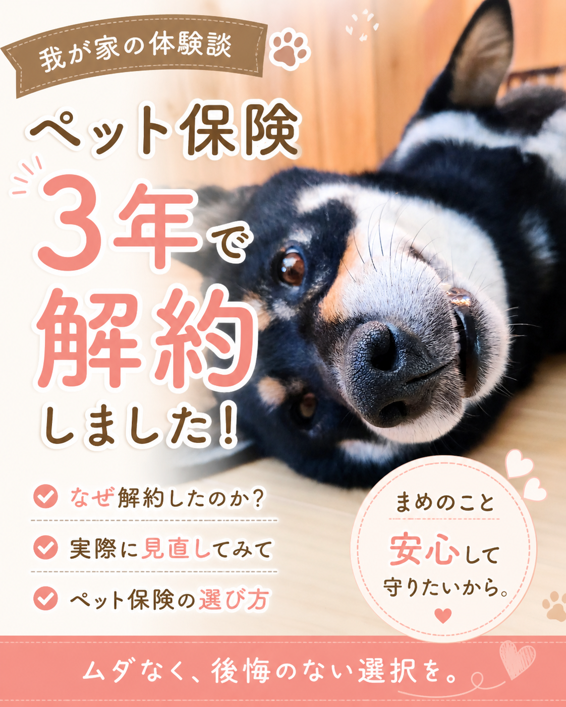 ペット保険を3年で解約した我が家の体験談｜まめのこと安心して守りたいから