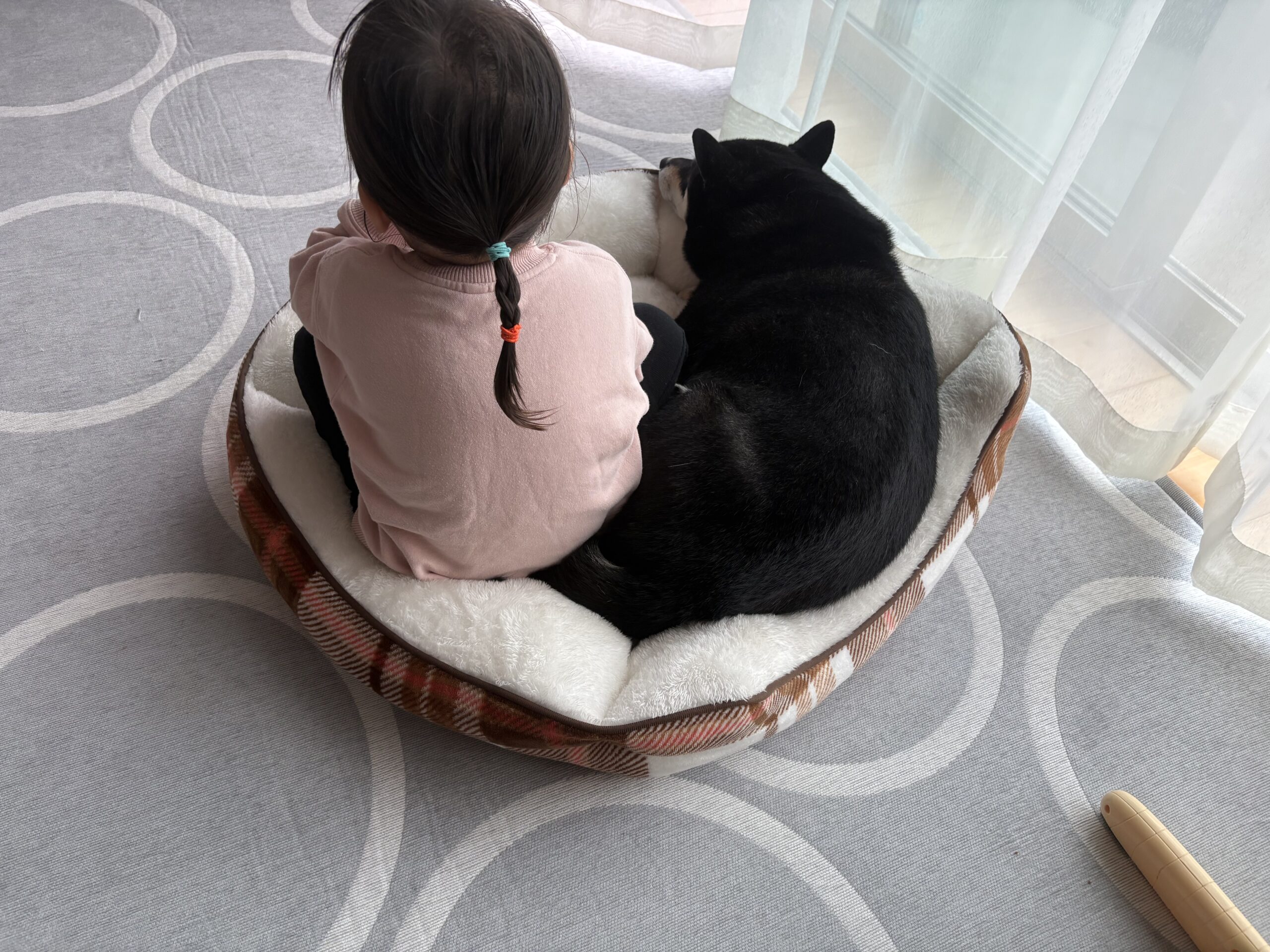 子どもと黒柴まめが一緒にペットベッドに座ってくつろいでいる姿