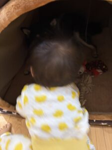 まめと向かい合おうとしている妹の姿