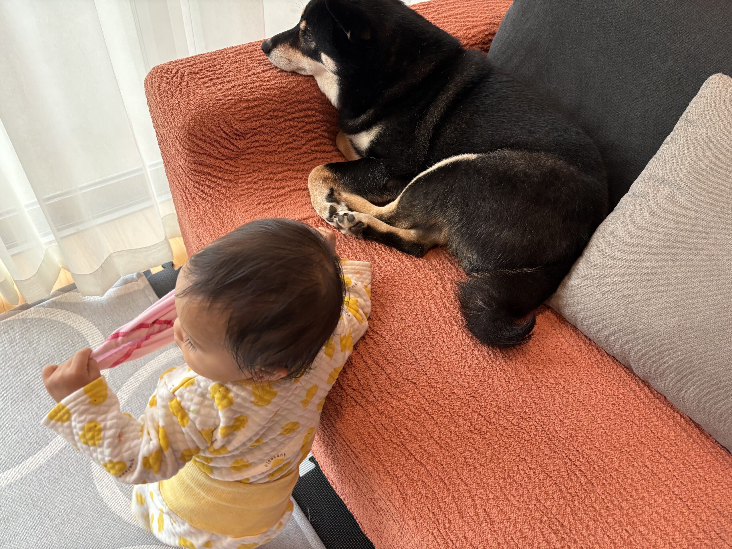 パンツを渡そうとして無視され、いじける下の子