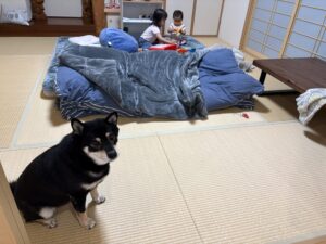 アンパンマンブロックで遊ぶ姉妹