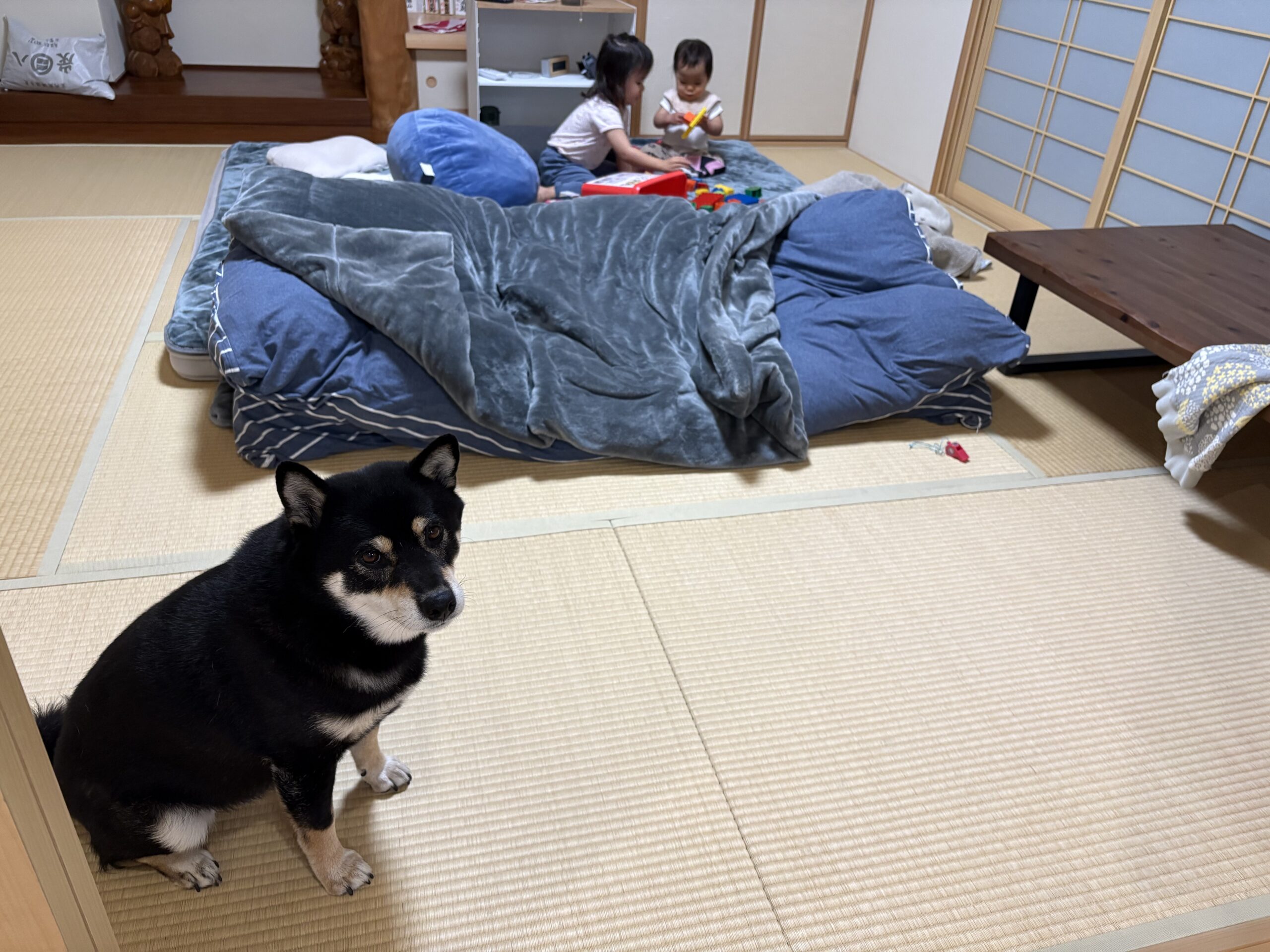 アンパンマンブロックで遊ぶ姉妹