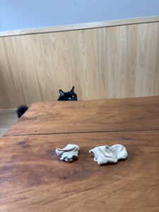テーブルの奥で耳だけ見えている黒柴まめ