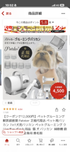 換毛期で毛が抜けやすい黒柴まめが床で寝転んでいる様子