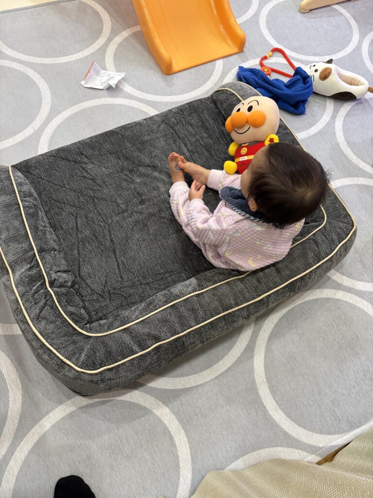 犬用ベッドに座ってアンパンマンのぬいぐるみで遊ぶ1歳児