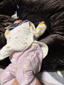 まめを枕にして横になる娘