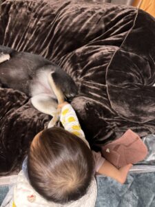 まめの足を触る娘