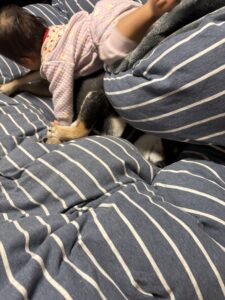 寝ているまめにダイブしていく下の子