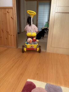 和室でアンパンマン三輪車と黒柴まめが並ぶ様子