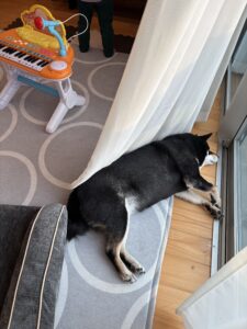 別角度の寝姿写真