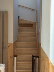 階段の上からこちらを見つめる黒柴まめ