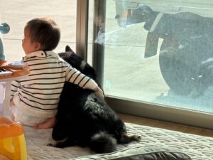 アンパンマンのキーボードピアノで遊ぶ姉妹と黒柴まめの夕方の風景