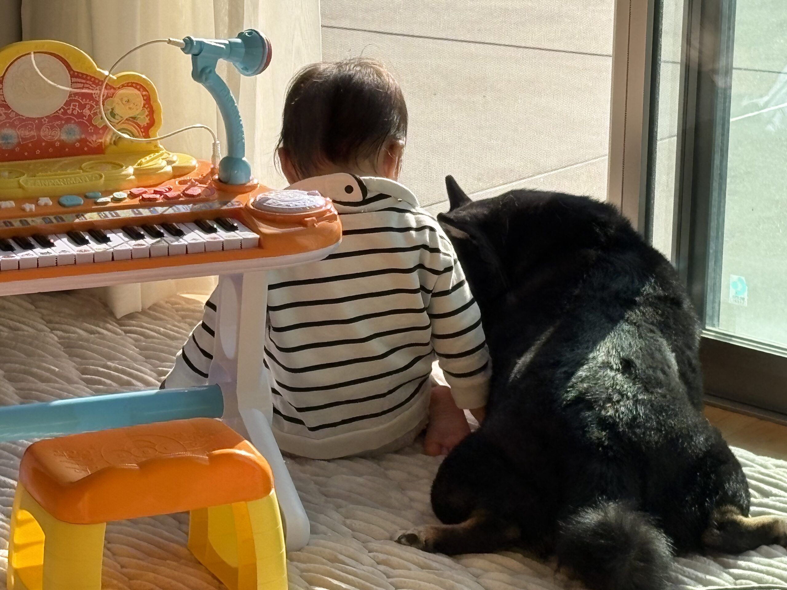 下の子がおしゃべりしている横でまめが寄り添うほっこり時間