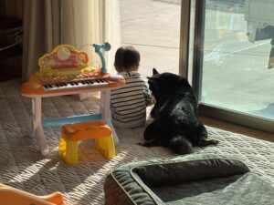 アンパンマンおもちゃで遊ぶ姉妹とまめの笑顔あふれる日常