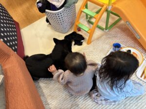 床に座って朝ごはんを食べる姉妹と見守る黒柴まめの後ろ姿