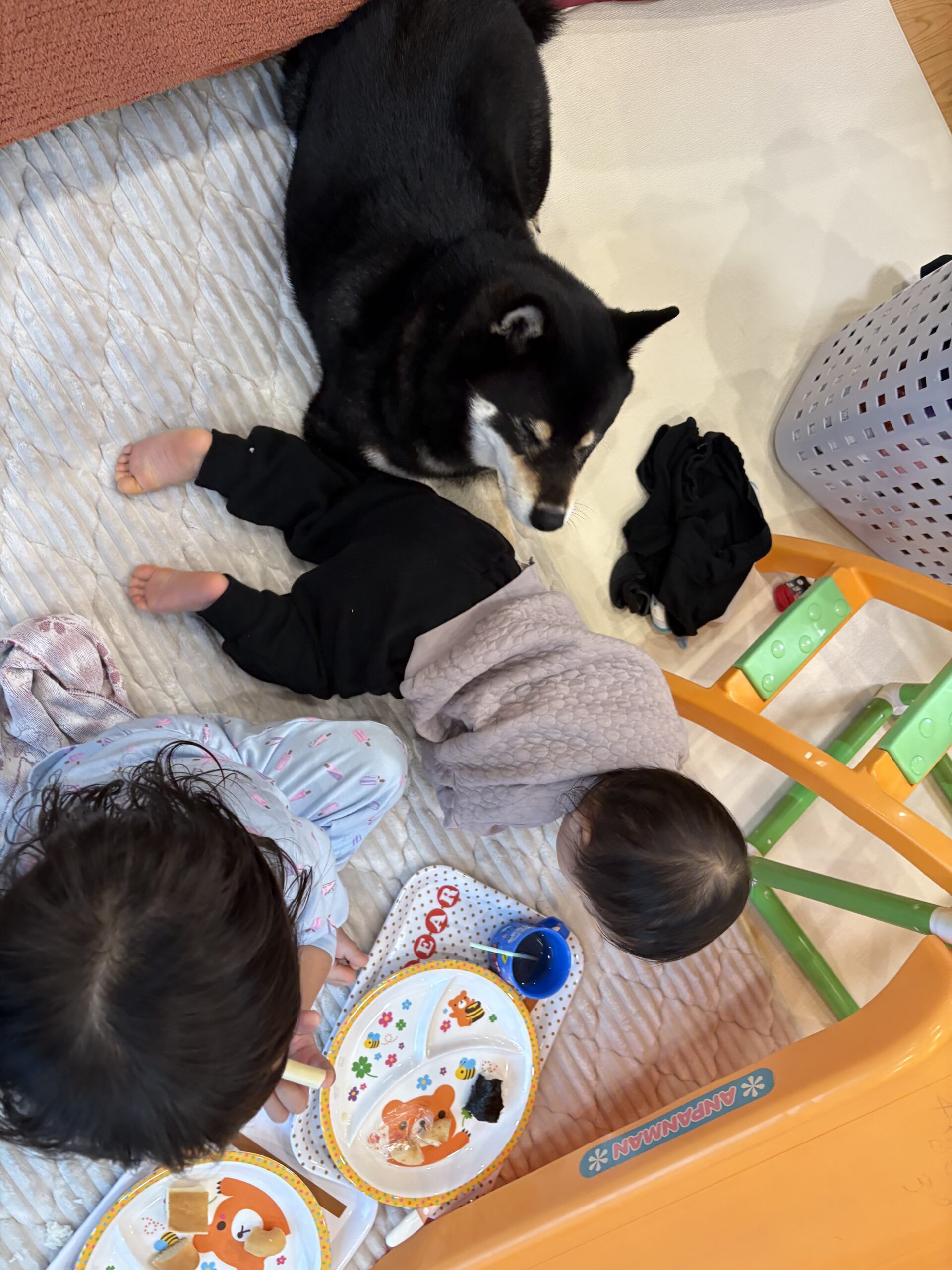 床に置いた子ども用プレートで朝ごはんを食べる姉妹の様子