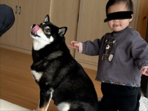 同じポーズで並ぶ子供と黒柴まめ