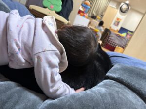 下の子がまめに頭を預けて寝ようとしている後ろ姿