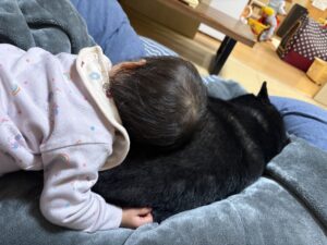 下の子がまめに寄り添ってくつろぐ様子