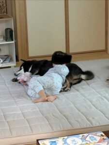 まめの上で二度寝する子どもの朝の様子