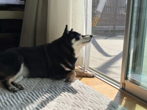 のびーっとリラックス。