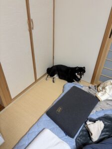 部屋のすみっこ写真