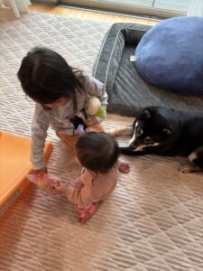 ひなあられを開封し姉妹と黒柴まめが集まる朝の様子