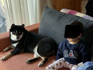 ソファによじ登ってまめの隣に座る子ども