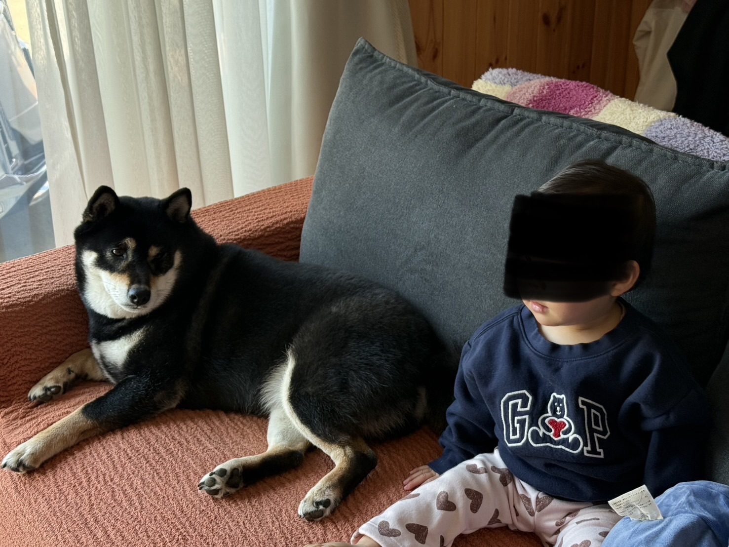 ソファによじ登ってまめの隣に座る子ども