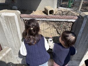 動物を見つめる子供たちの後ろ姿
