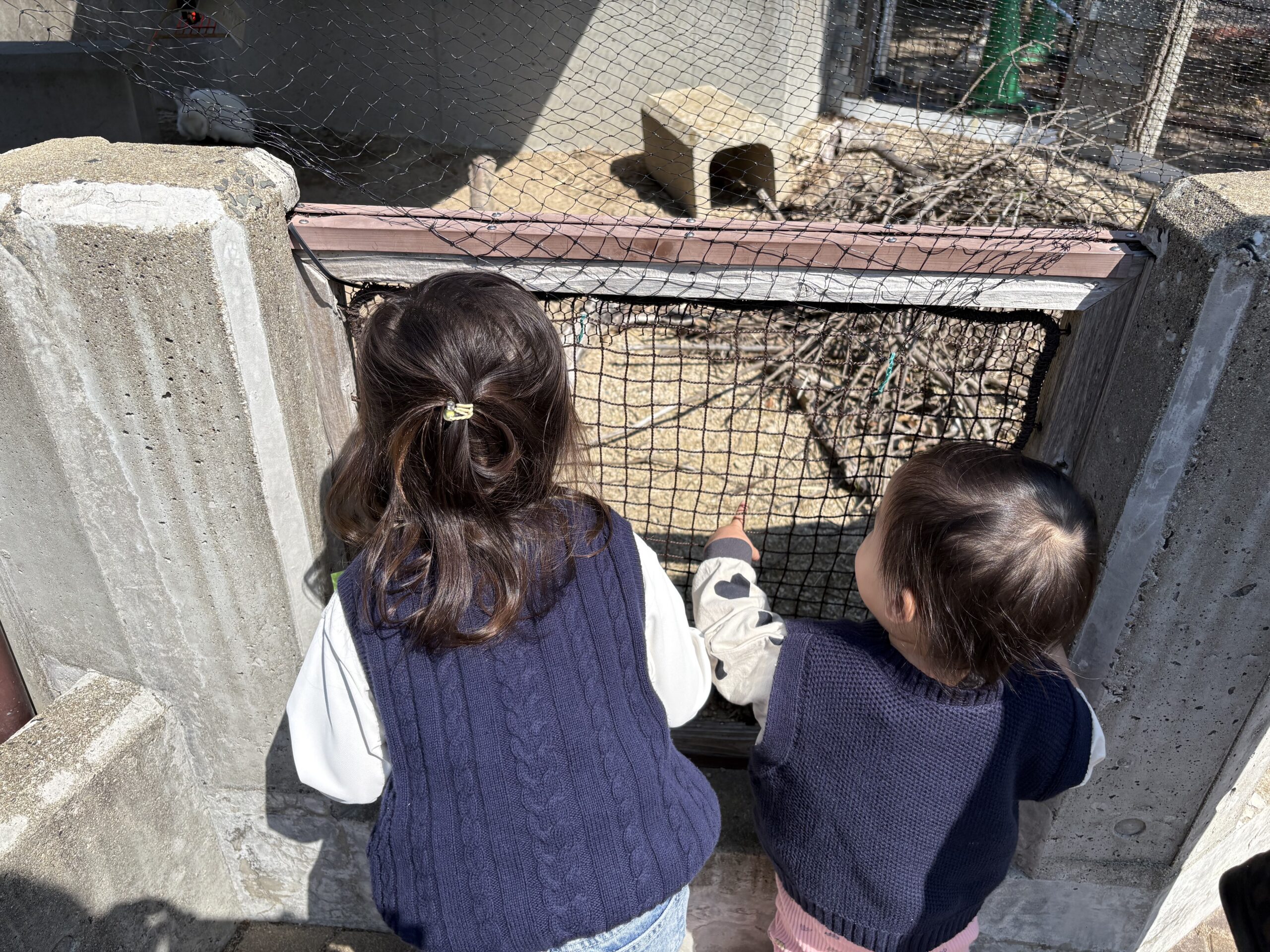 動物を見つめる子供たちの後ろ姿