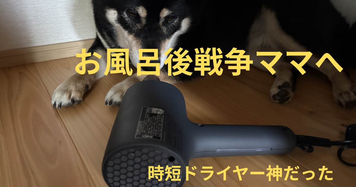 黒柴まめがドライヤーを嫌がっている様子