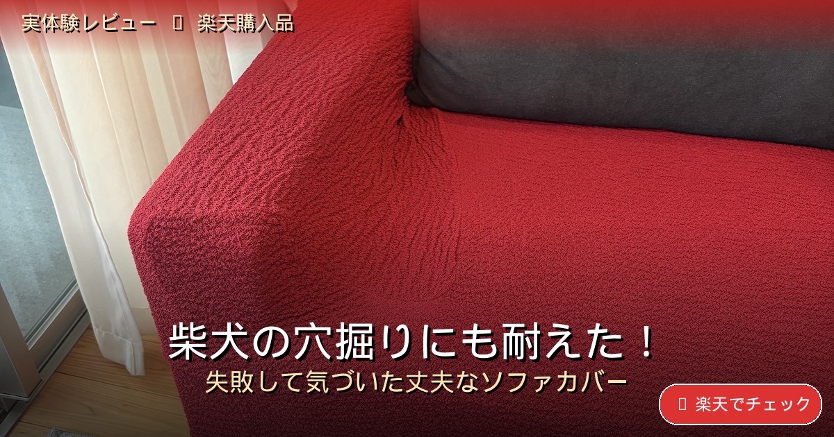 赤いソファーカバーから顔を出す黒柴まめ