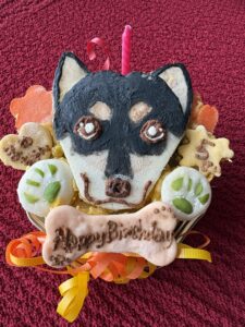 黒柴まめそっくりの似顔絵バースデーケーキ、骨型クッキーにHappy Birthdayの文字入り