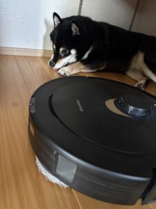 現在使用しているお掃除ロボット。まめはリラックスしている