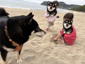 まめの横顔と子供たち（砂浜）