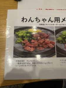 ホテルのベッドでくつろぐ黒柴まめ