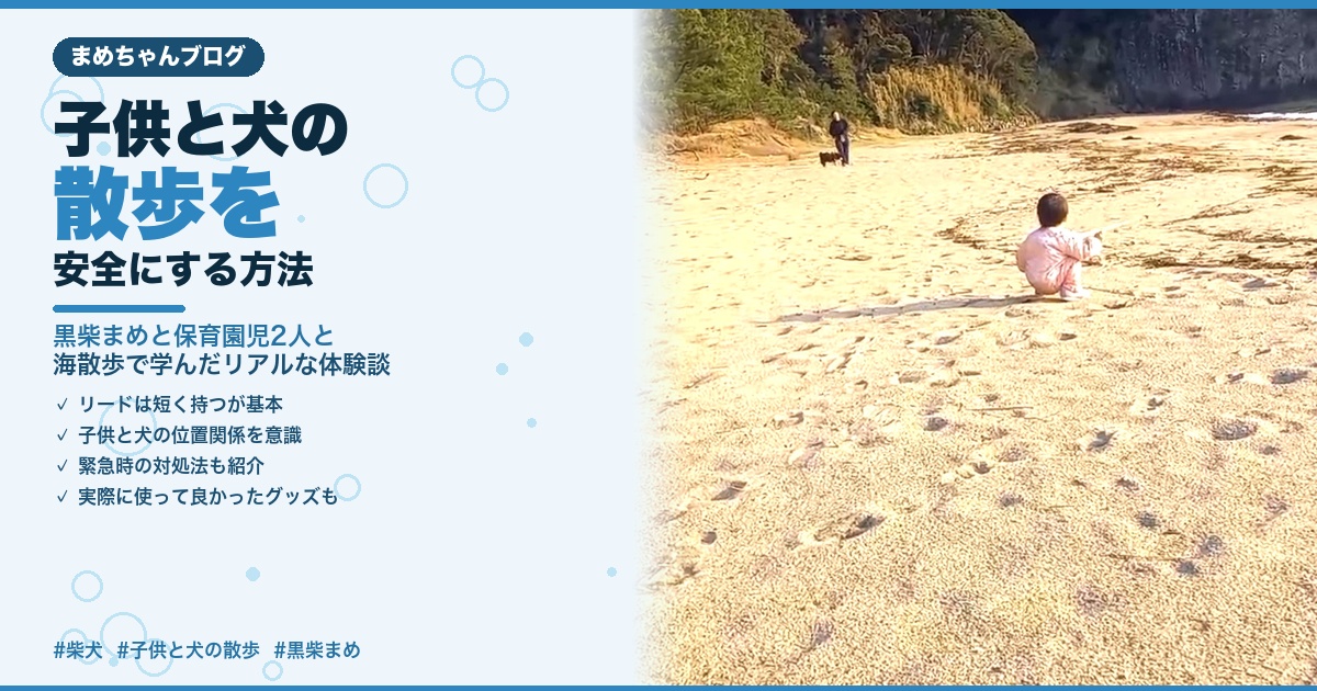 砂浜を散歩する黒柴まめと子供のほっこりする後ろ姿