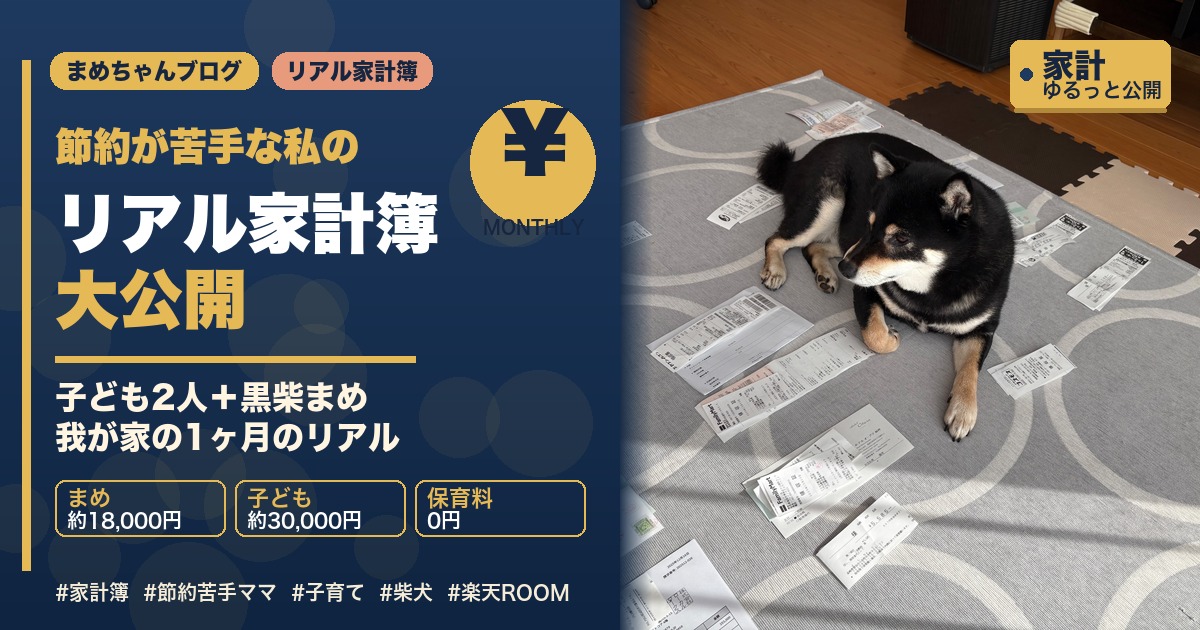 節約が苦手なママのリアル家計簿｜子ども2人と黒柴まめのいる暮らし