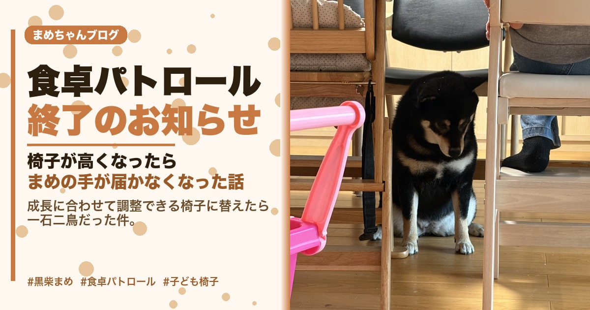 食卓パトロール終了して絶望している黒柴