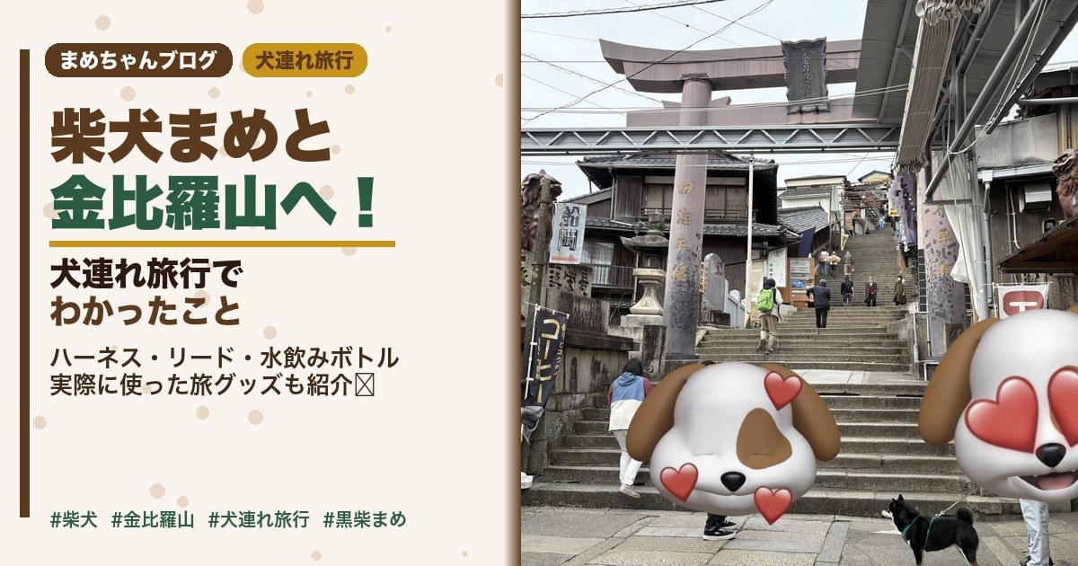 柴犬まめと金比羅山へ！犬連れ旅行でわかったこと