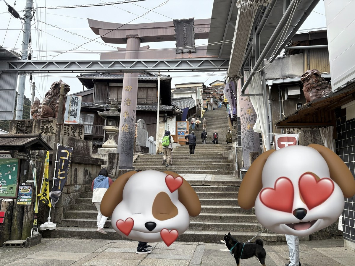 金比羅山の参道入口。鳥居と石段が続く