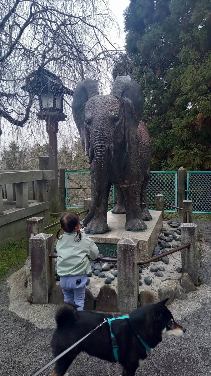 金比羅山で柴犬まめと子どもの旅の一コマ