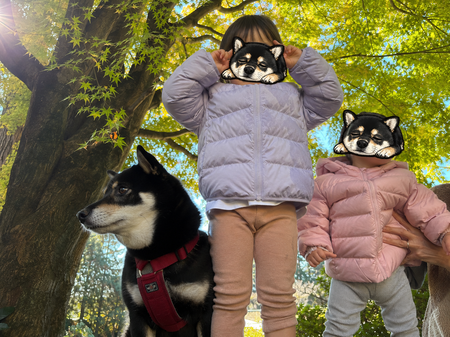 紅葉の木の下で散歩する子ども2人と黒柴まめ