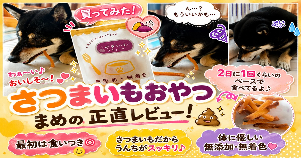 黒柴まめが無添加やきいもスティックを食べる様子と「2日に1回くらいのペースで食べてるよ」のメッセージが入ったレビューアイキャッチ