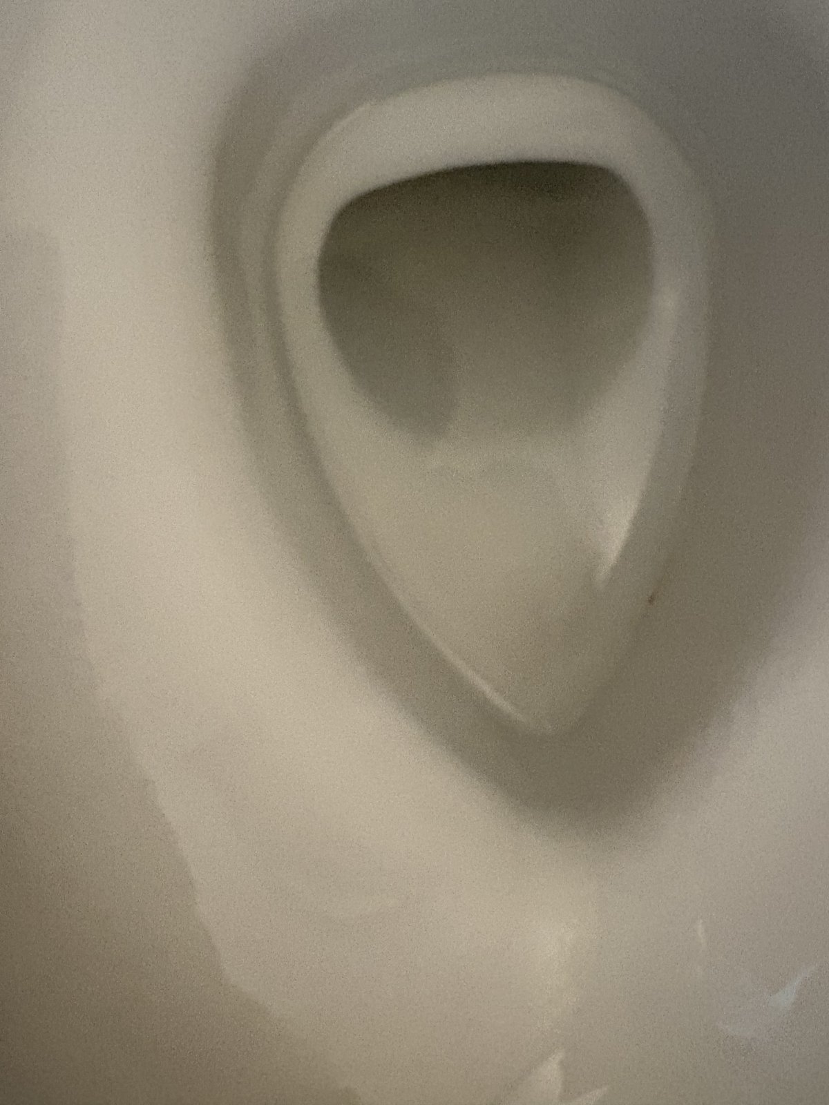 ピカピカになったトイレのアップ
