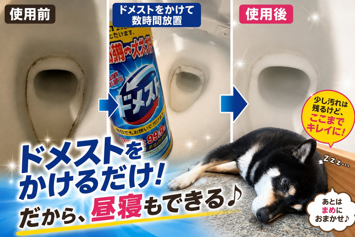 ドメスト使用前後の2階トイレと寝ている黒柴まめ