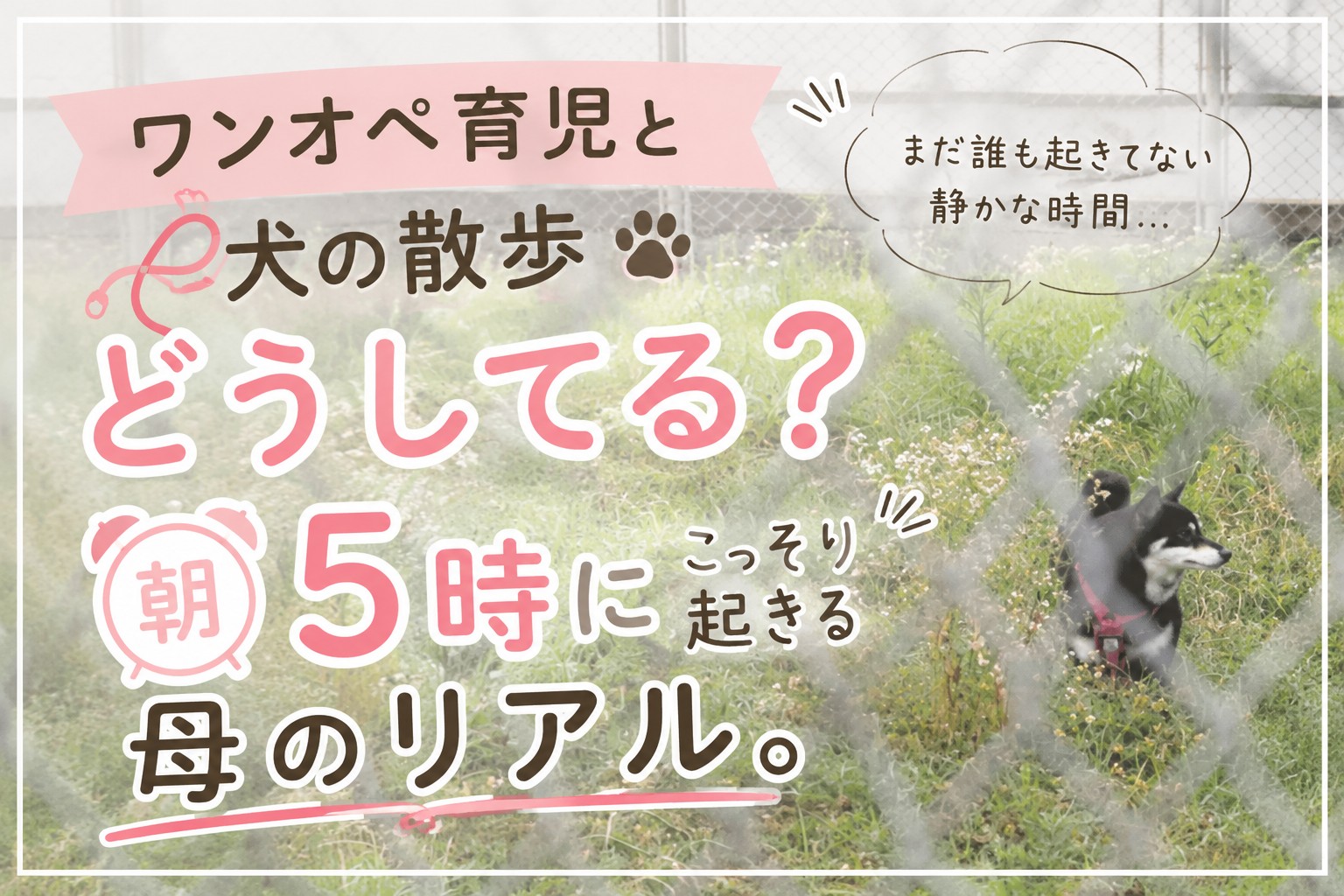 ワンオペ育児と犬の散歩どうしてる？朝5時にこっそり起きる母のリアル
