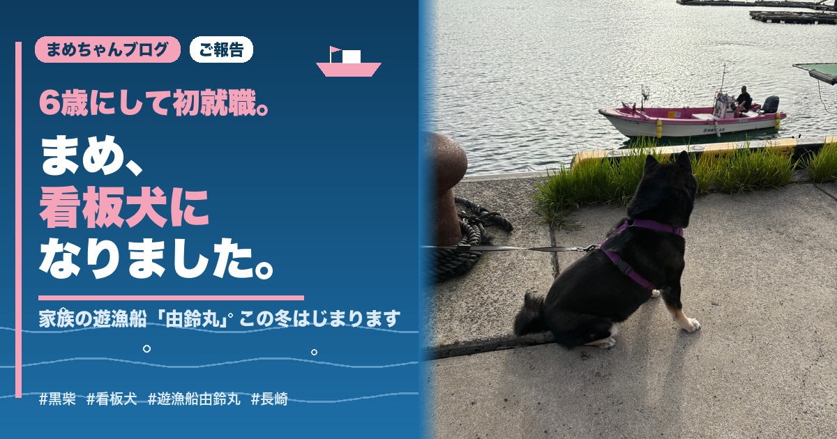 港でピンクの遊漁船・由鈴丸を見送る黒柴まめのアイキャッチ画像