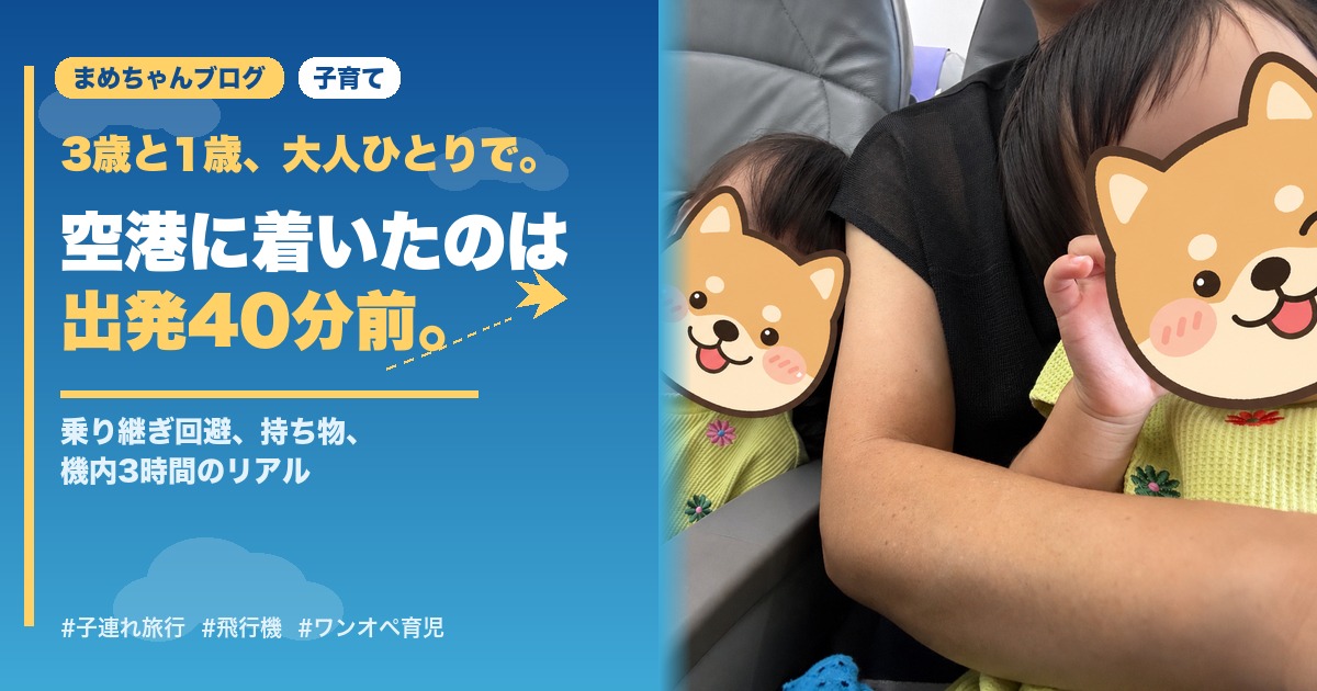 3歳と1歳を大人1人で連れて飛行機に乗った子連れ旅行記事のアイキャッチ画像